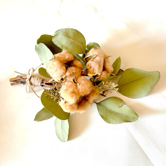 コットンフラワー 4枚目の画像