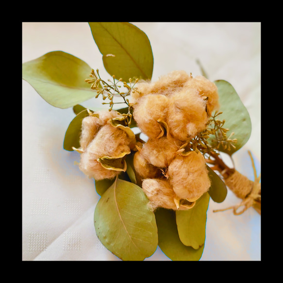 コットンフラワー 1枚目の画像