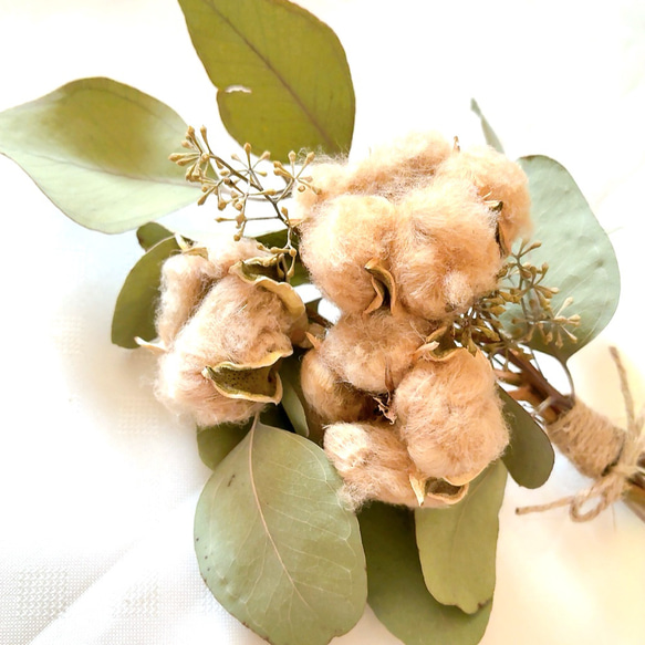 コットンフラワー 5枚目の画像