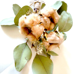 コットンフラワー 3枚目の画像