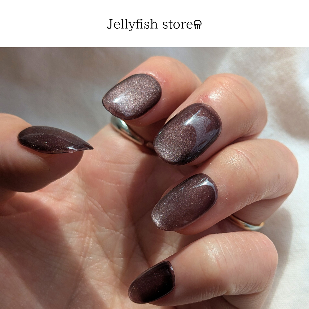 #106｜Silly magnet * [ rich brown ] ブラウン 超微粒子 マグネット【ネイルチップ】