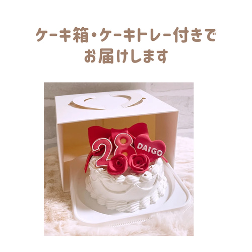 フェイクケーキ 推しケーキ 誕生日 クレイ 撮影用 ハーフ