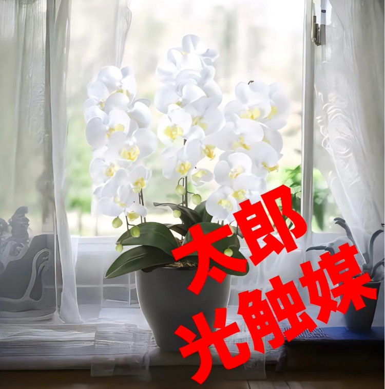 光触媒　人工観葉植物　ウォールグリーン　フェイクグリーン　胡蝶蘭　セリースw