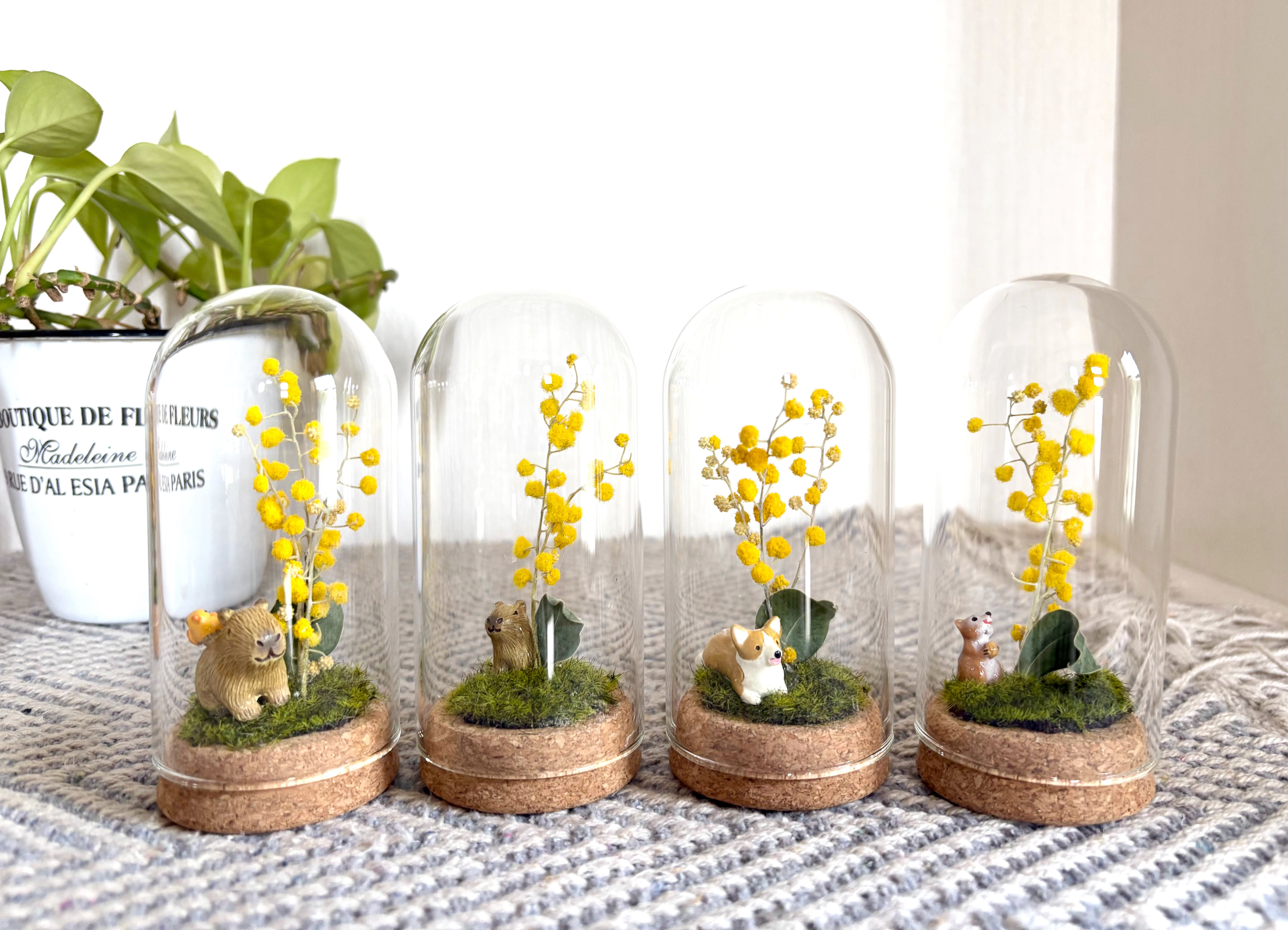 ドーム 未使用品 ミモザ Daum 花瓶