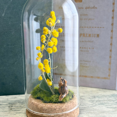 動物たちの後ろ姿も可愛いミモザのガラスドーム フラワーギフト
