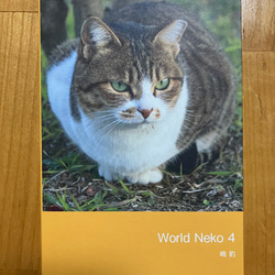 JUUN.J ジュンジェイ　Ｌ　希少デザイン　レア　総柄　猫　宇宙　かっこいい JUUN.J ジュンジェイ L 希少デザイン レア 総柄 猫 宇宙