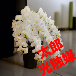 光触媒 人工観葉植物 フェイクグリーン フレッシュロング胡蝶蘭7本立w