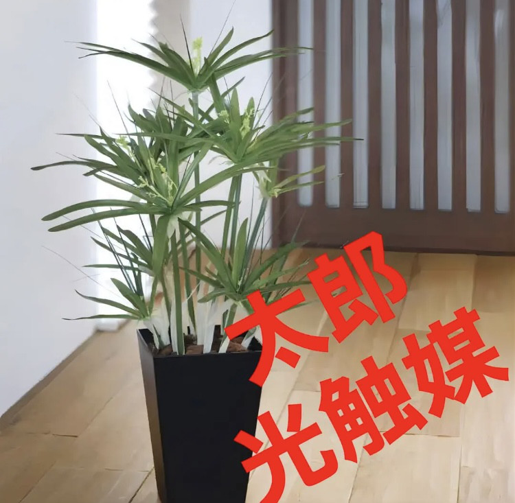 光触媒　人工観葉植物　ウォールグリーン　フェイクグリーン　パピルス60