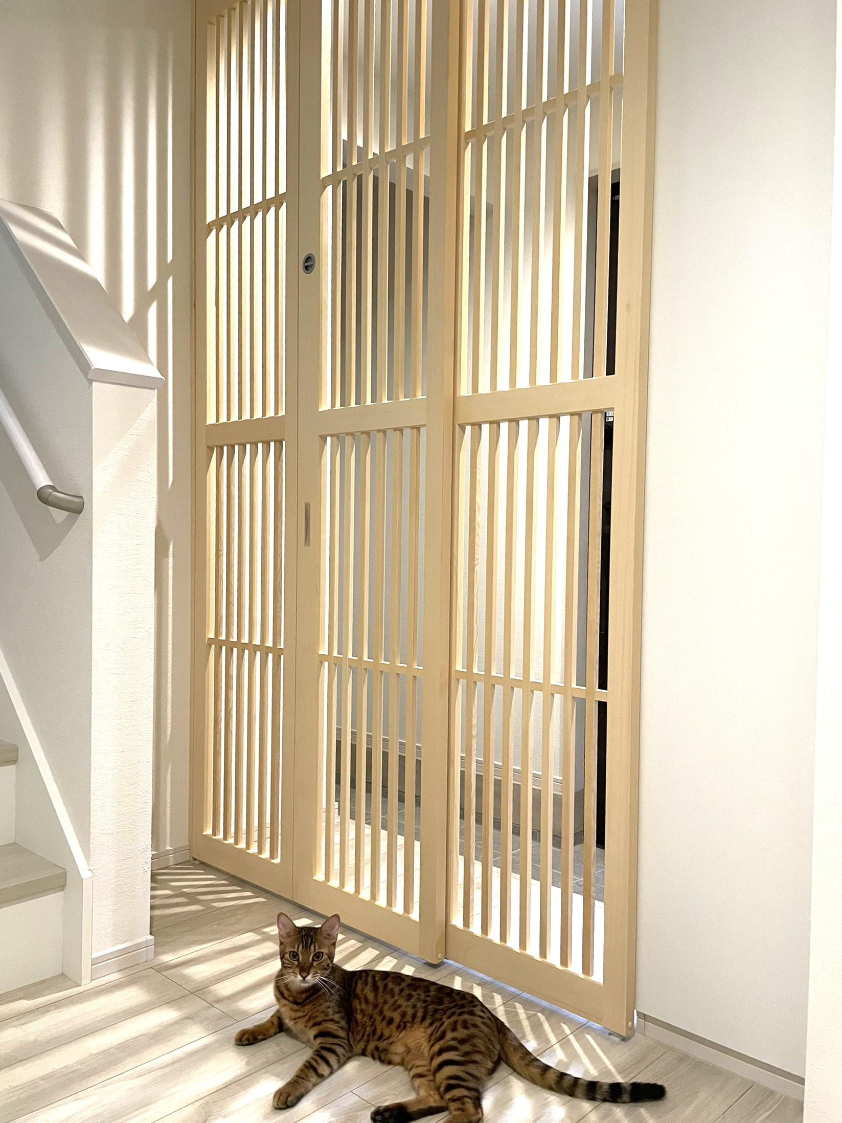 『ネコちゃんも幸せになる』脱走防止ドア