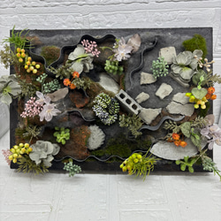 冬のコンクリートガーデン、フレーム、箱庭、多肉植物、オブジェ