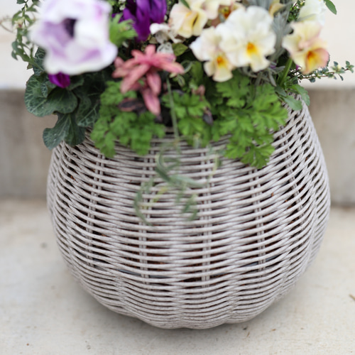 洗えるバスケット♪コデマリと紫のシクラメンのギャザリング寄せ植え