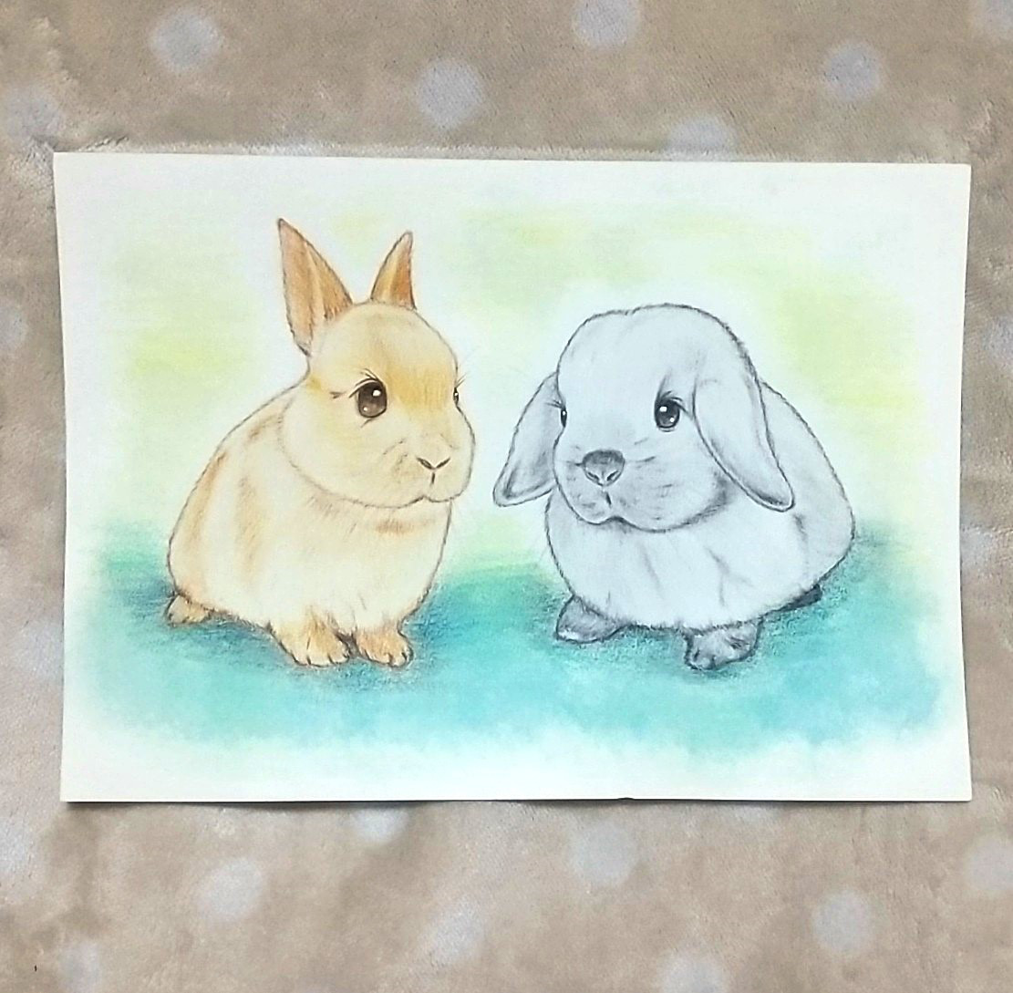 「こんちは！」