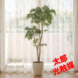 光触媒 人工観葉植物 ウォールグリーン フェイクグリーン ガジュマル