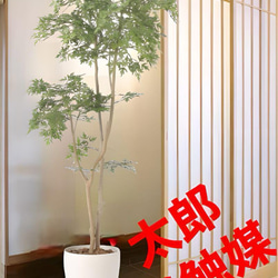 光触媒 人工観葉植物 ウォールグリーン フェイクグリーン ガジュマル