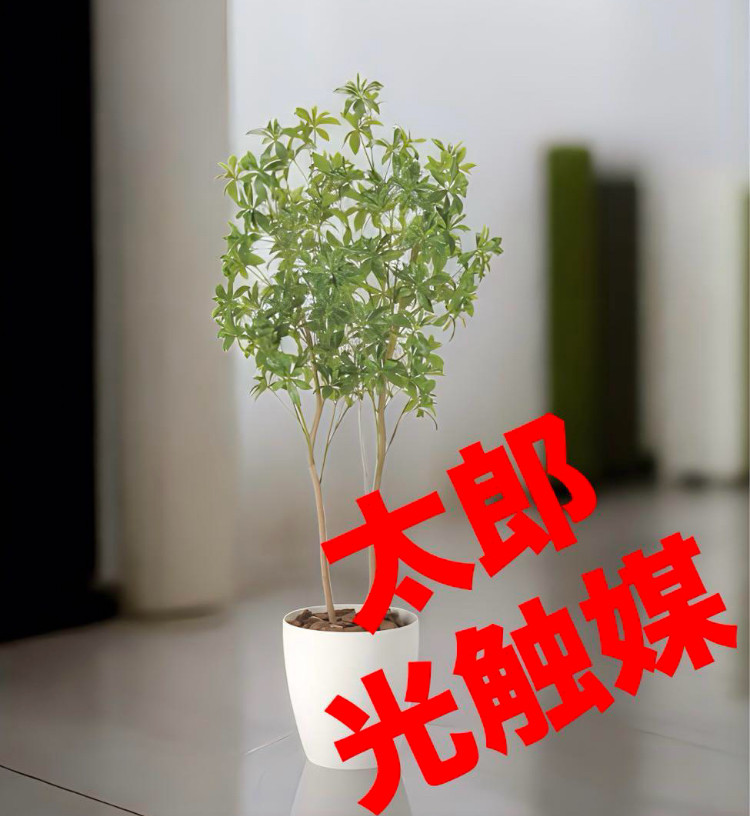 光触媒　人工観葉植物　ウォールグリーン　フェイクグリーン　フレッシュアセビ1.8