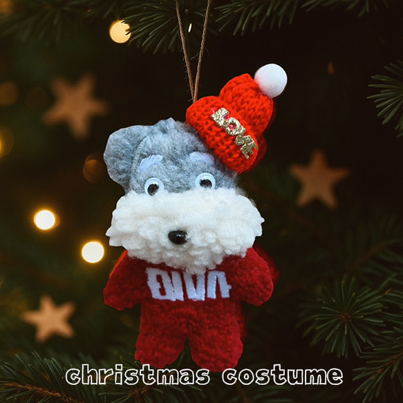 クリスマス クリスマスオーナメント 犬グッズ 猫グッズ 名前入れ