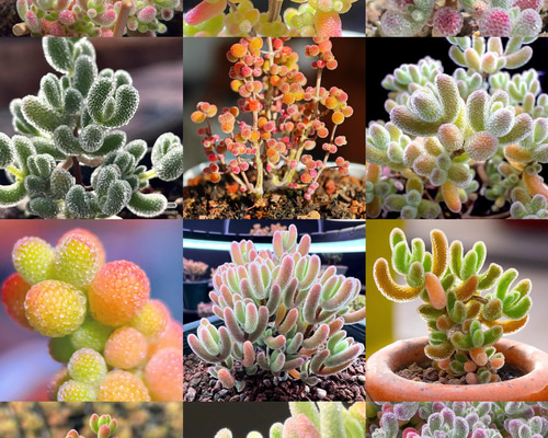 f46328b2cff2f122bdac036a4a04fe