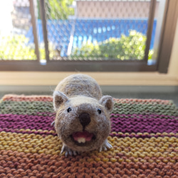 羊毛フェルト エゾリス 羊毛フェルト musa 通販 11566583｜Creema