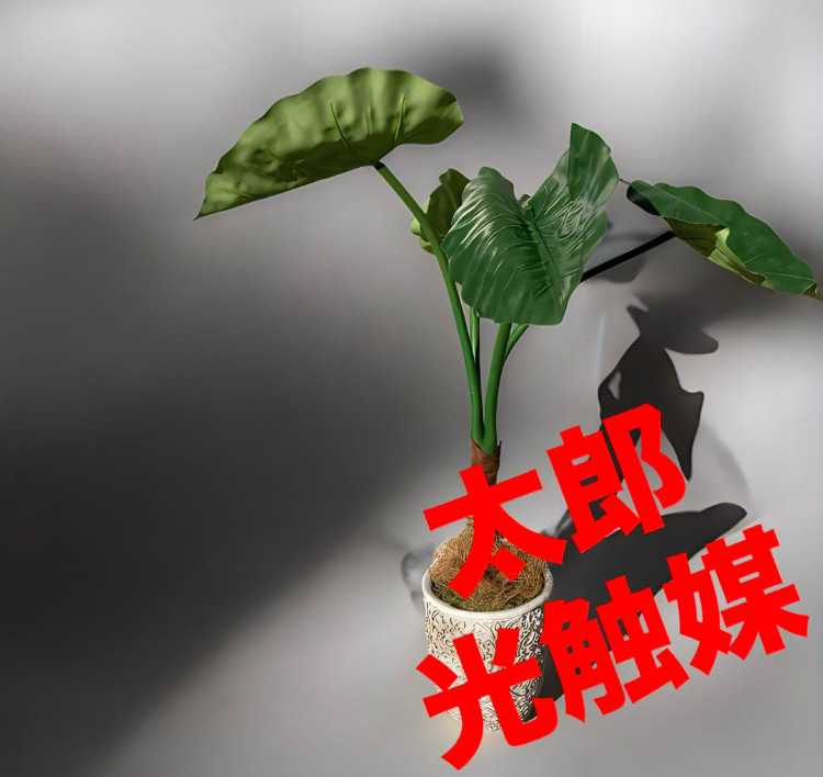 光触媒　人工観葉植物　ウォールグリーン　フェイクグリーン　クワズイモ7758