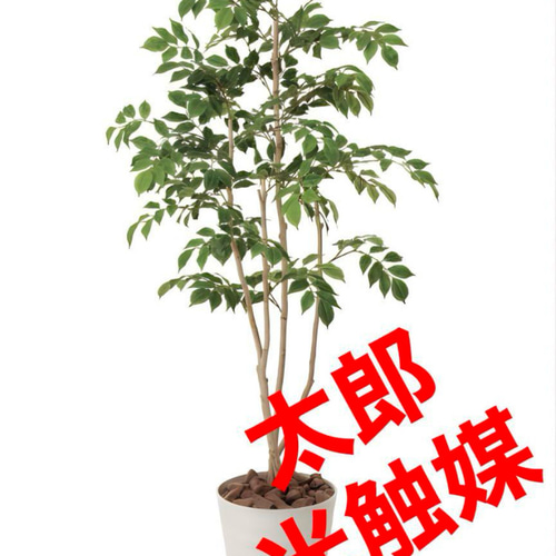 光触媒　人工観葉植物　ウォールグリーン　フェイクグリーン　マウンテンアッシュ@g 光触媒 人工観葉植物 ウォールグリーン フェイクグリーン