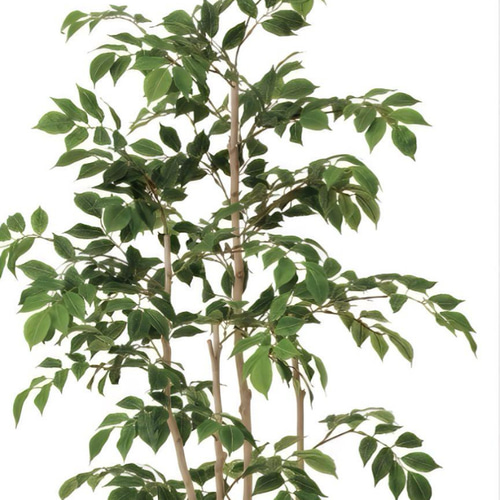 光触媒 人工観葉植物 ウォールグリーン フェイクグリーン マウンテン