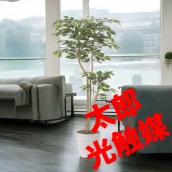 光触媒　人工観葉植物　ウォールグリーン　フェイクグリーン　ベンジャミン1.6 光触媒 人工観葉植物 ウォールグリーン フェイクグリーン デザイン