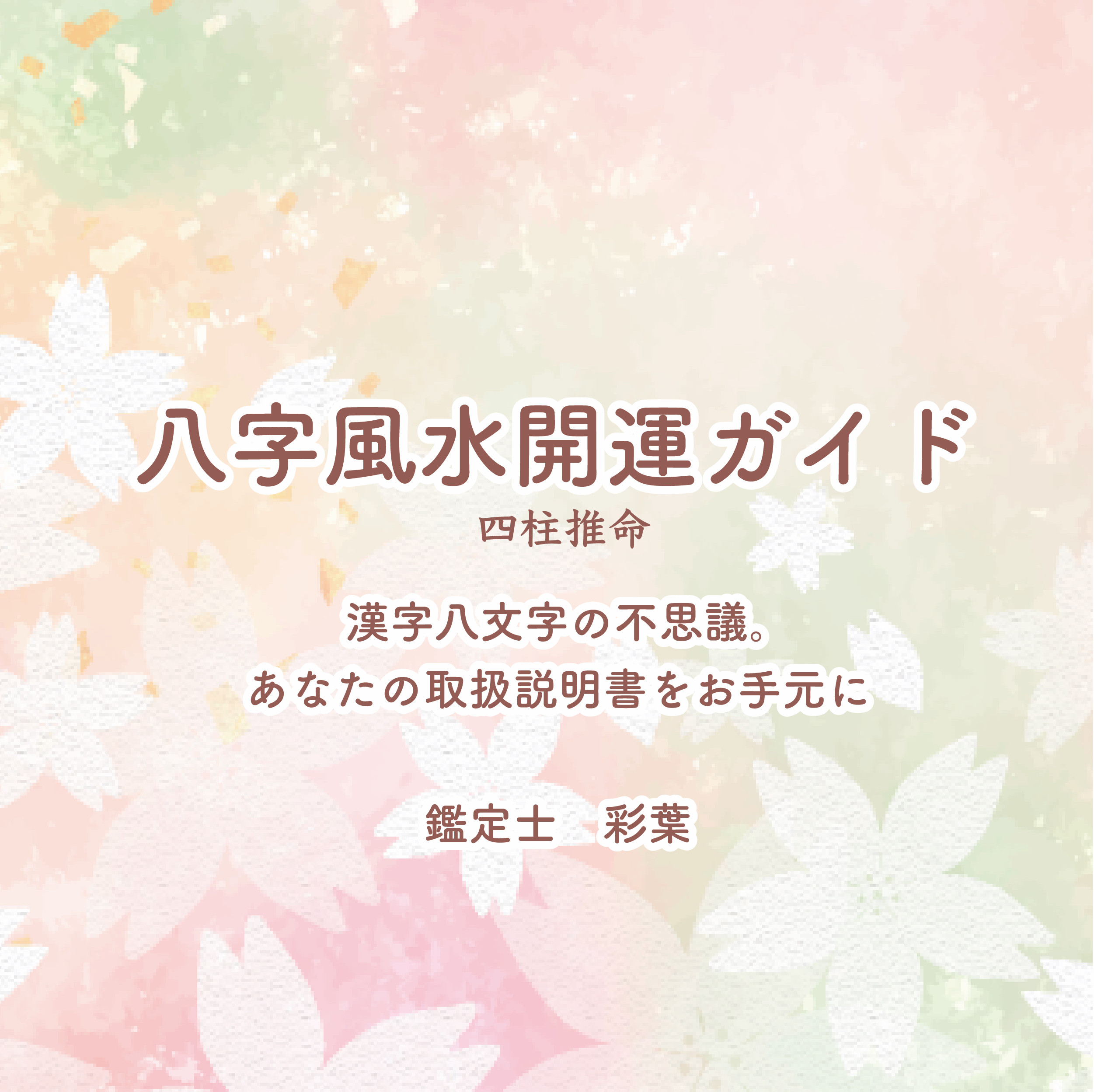 2026 四柱推命鑑定　八字風水ガイド  統計学  取扱説明書 漢字