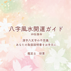 2026 四柱推命鑑定 八字風水ガイド 統計学 取扱説明書 漢字 その他
