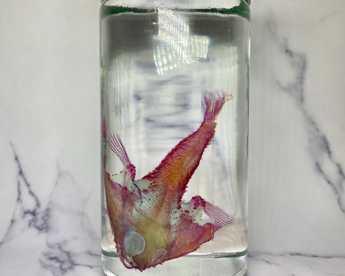 2a2b0170e830670af83dd700be8b65