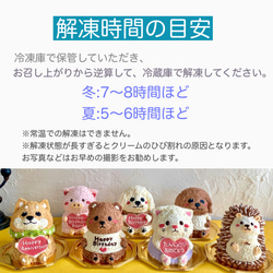  第4張的照片