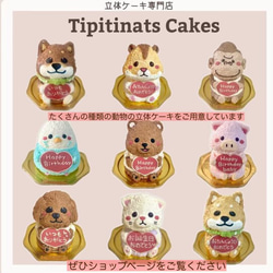 限定カラーのくまさんの立体ケーキ(ピンク×チョコ)　[ご希望のお受取り日・時間帯をご指定下さい] 9枚目の画像