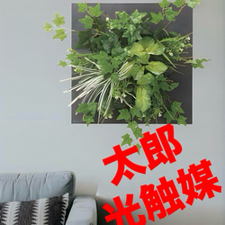 光触媒観葉植物ウォールグリーン壁掛けウオールタイプアイビー45