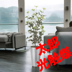 光触媒　人工観葉植物　ウォールグリーン　フェイクグリーン　スリムシェフレラ1.3 光触媒 人工観葉植物 ウォールグリーン フェイクグリーン スリム