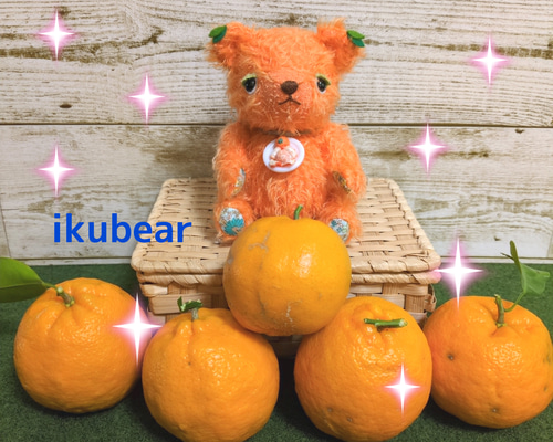 くまのぬいぐるみ 全身オレンジ！？甘いみかんをイメージした
