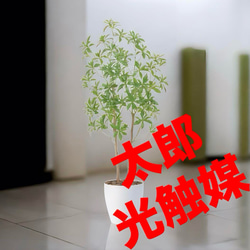 光触媒　人工観葉植物　ウォールグリーン　フェイクグリーン　フレッシュアセビ1.5 光触媒 人工観葉植物 ウォールグリーン フェイクグリーン フレッシュ