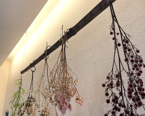 a26f1c924a5ec0a508c7c224b572a4