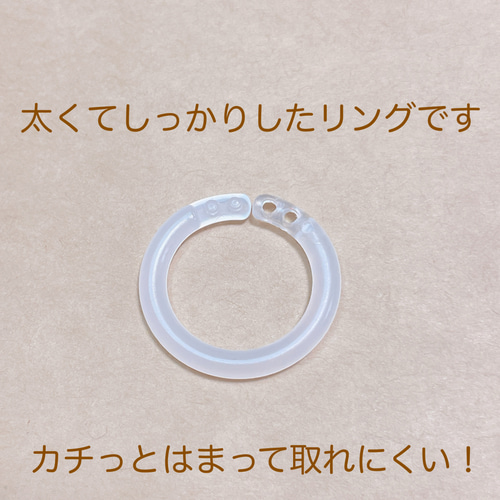 シューズタグ ネームタグ 上靴タグ くつのしっぽ いちご その他入園