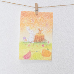 【即日発送】キッズアート ポストカード 水彩画 出会い ポストカード / グッズ 水彩 イラスト うさぎ リス 秋