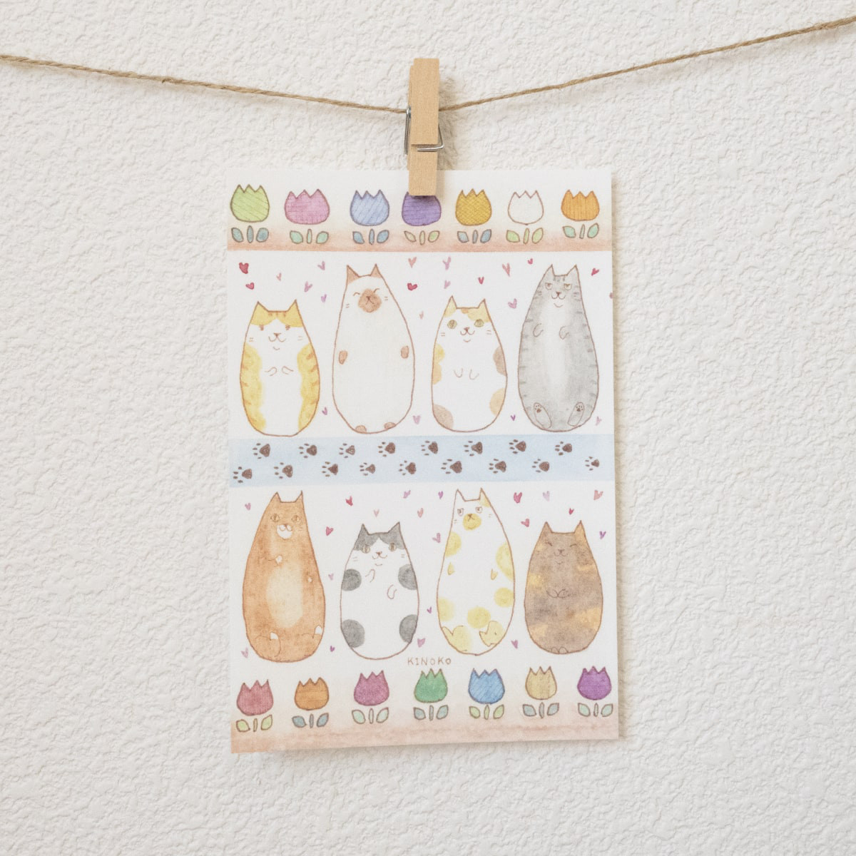 ねこパターン ポストカード / グッズ かわいい カラフル