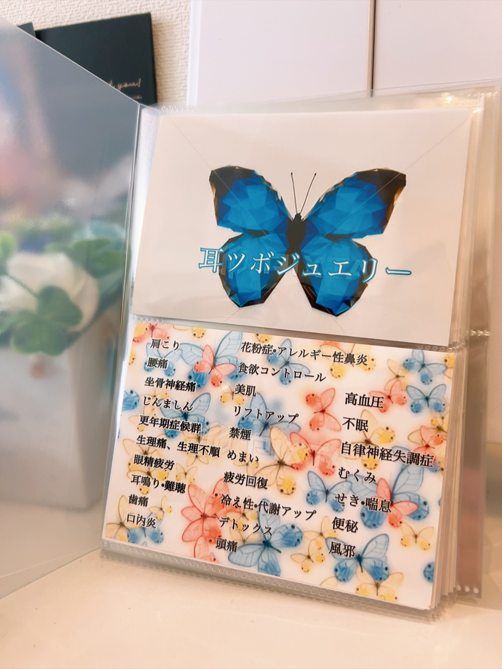 耳ツボジュエリー(クリスタル) ツボガイドブック ピアス（その他