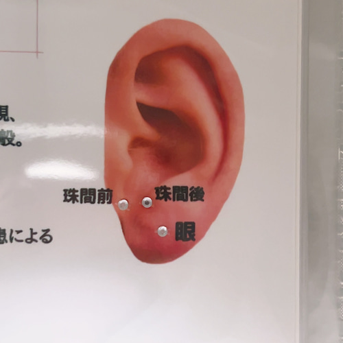 耳ツボジュエリー(クリスタル) ツボガイドブック ピアス（その他