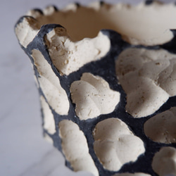 4号黒化粧砂岩鉢821　塊根植物　多肉植物　盆栽　植木鉢　作家鉢　沖縄 2枚目の画像