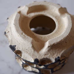 4号黒化粧砂岩鉢821　塊根植物　多肉植物　盆栽　植木鉢　作家鉢　沖縄 6枚目の画像