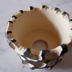 4号黒化粧砂岩鉢821　塊根植物　多肉植物　盆栽　植木鉢　作家鉢　沖縄 4枚目の画像