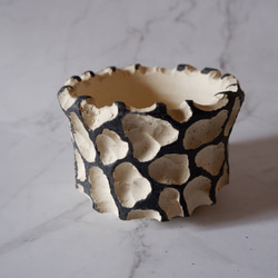 4号黒化粧砂岩鉢821　塊根植物　多肉植物　盆栽　植木鉢　作家鉢　沖縄 1枚目の画像