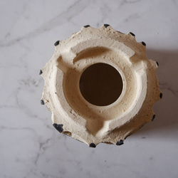 4号黒化粧砂岩鉢821　塊根植物　多肉植物　盆栽　植木鉢　作家鉢　沖縄 7枚目の画像