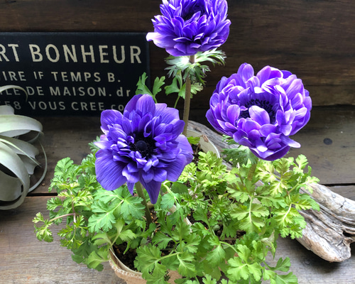 fee406fe66230c4083e05911799b24