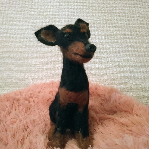 【未使用品】 Akiの羊毛フェルト犬☆ミニチュアピンシャー☆dog【004】 羊毛 その他