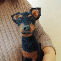 Akiの羊毛フェルト犬☆ペキニーズハートのリース☆dog【013】 羊毛