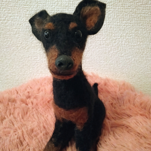 Akiの羊毛フェルト犬☆ミニチュアピンシャー☆dog【004】 羊毛 Akiの羊毛フェルト犬☆ミニチュアピンシャー☆dog【004】 羊毛